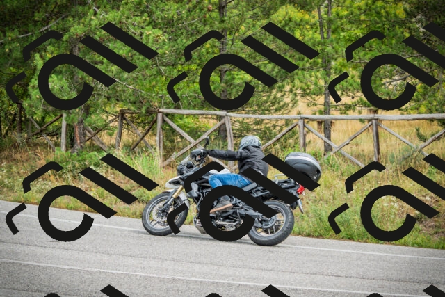 202509141218-DSC05949_c1_