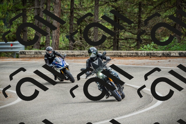 202509141219-DSC05956_c1_