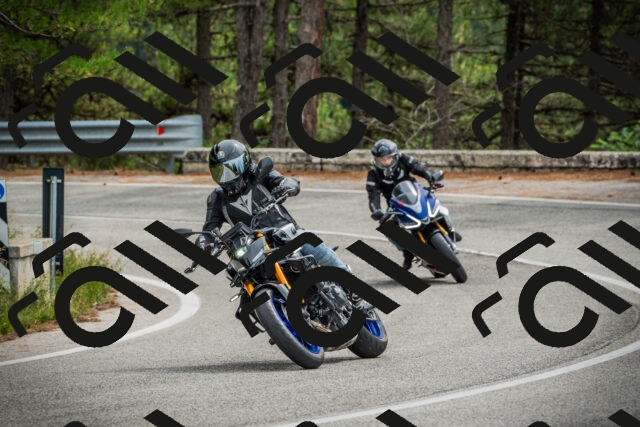 202509141219-DSC05957_c1_