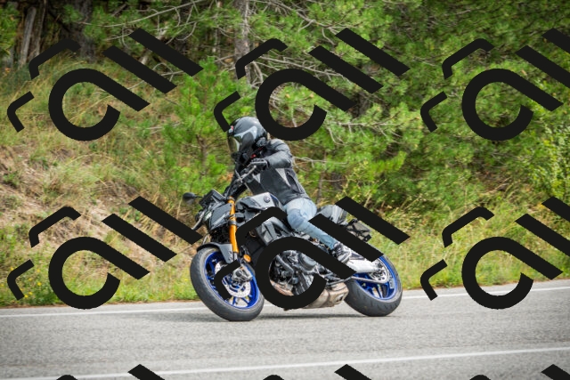 202509141219-DSC05958_c1_