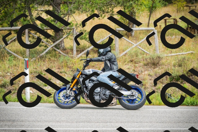 202509141219-DSC05959_c1_