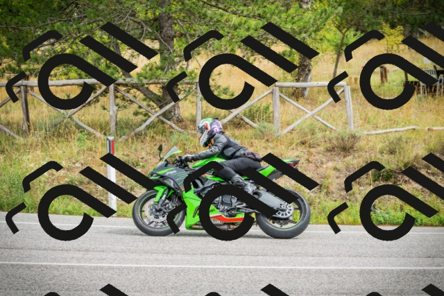 202509141220-DSC05970_c1_