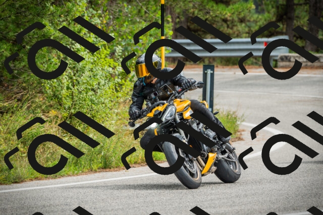 202509141220-DSC05973_c1_