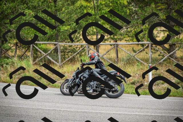 202509141220-DSC05981_c1_