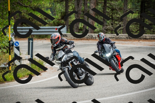 202509141220-DSC05984_c1_