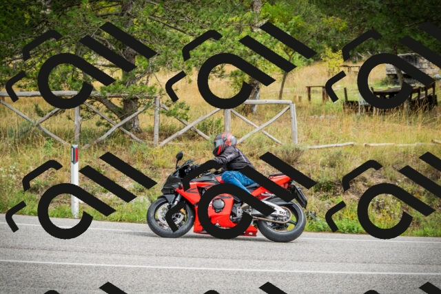 202509141220-DSC05987_c1_