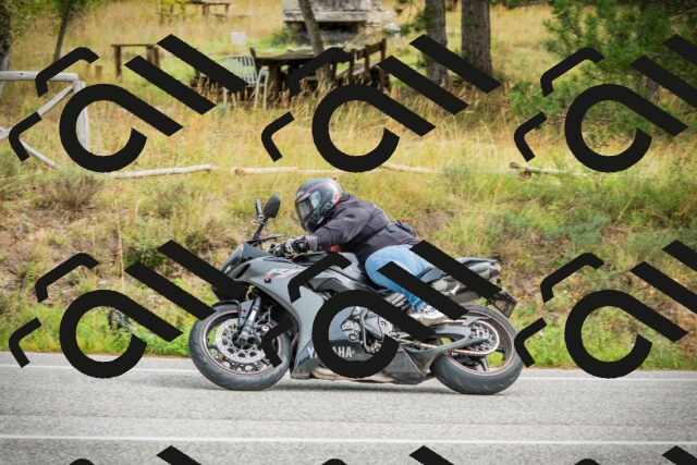 202509141220-DSC05997_c1_