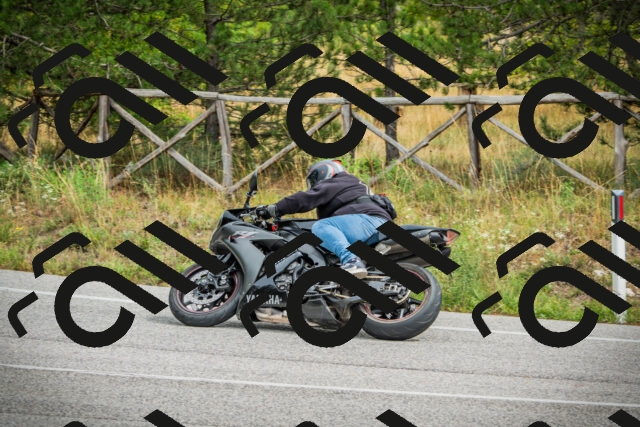 202509141220-DSC05998_c1_