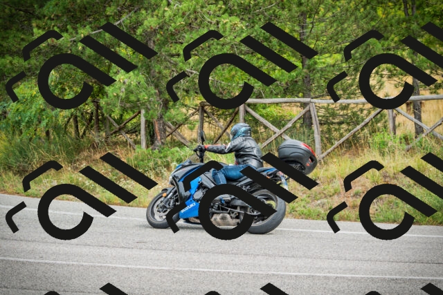 202509141220-DSC06003_c1_