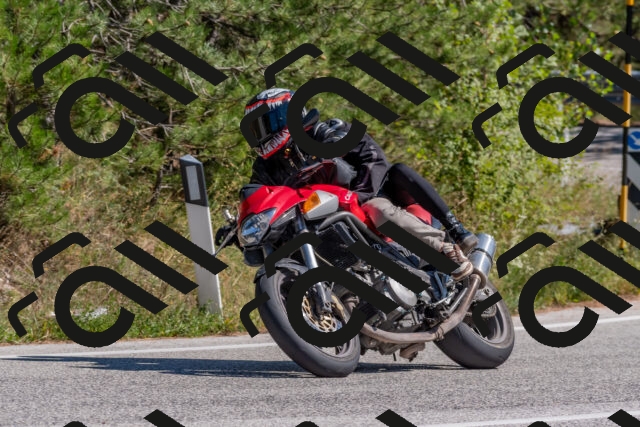 202509201343-DSC_2945_c4_