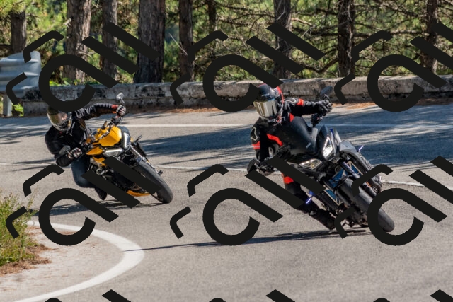 202509201344-DSC_2954_c4_