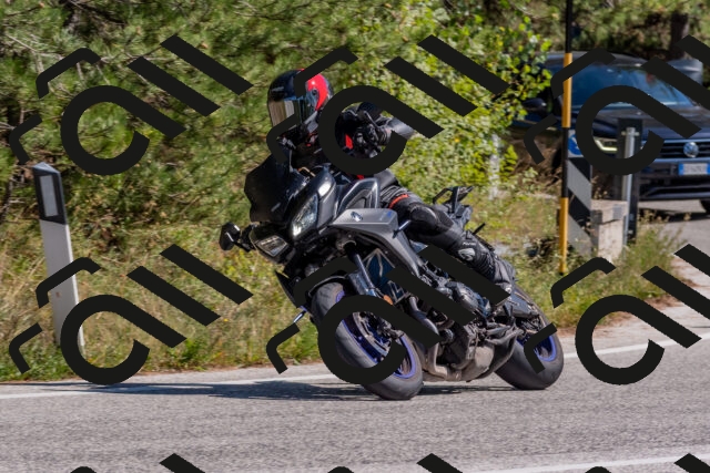 202509201344-DSC_2956_c4_