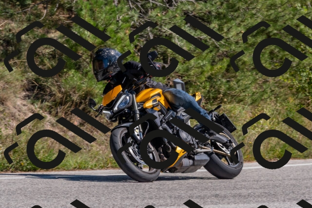 202509201344-DSC_2958_c4_