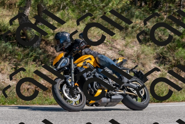 202509201344-DSC_2959_c4_