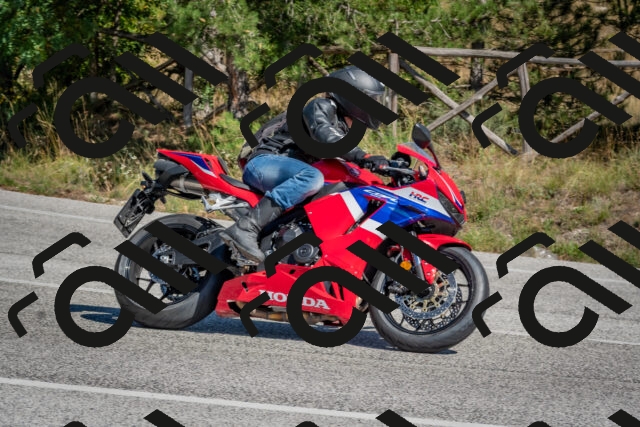 202509201344-DSC_2961_c4_