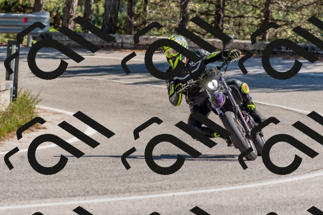 202509201344-DSC_2963_c4_