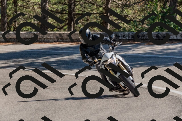 202509201353-DSC_2989_c4_