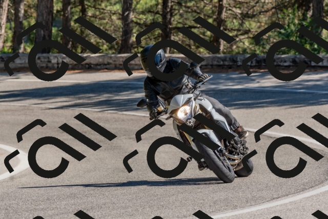 202509201353-DSC_2990_c4_