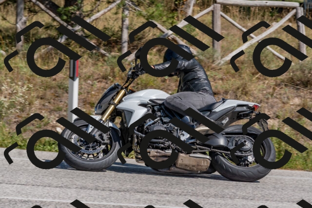 202509201353-DSC_2992_c4_