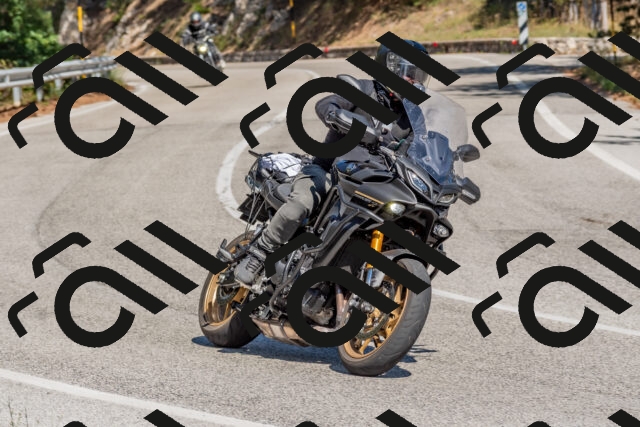 202509201356-DSC_2993_c4_