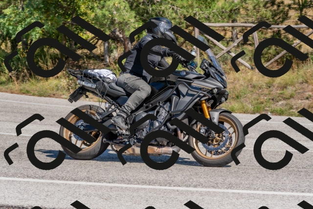 202509201356-DSC_2994_c4_