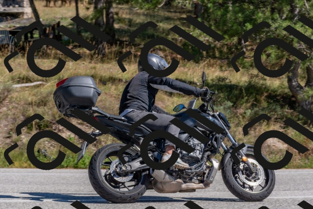 202509201356-DSC_2998_c4_