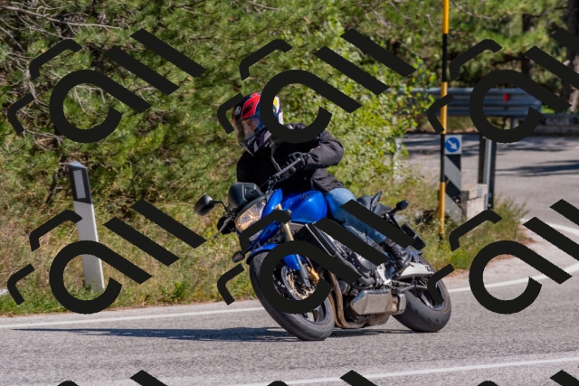 202509201356-DSC_3000_c4_