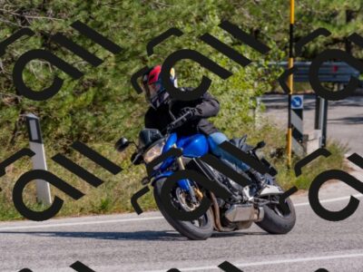 202509201356-DSC_3000_c4_