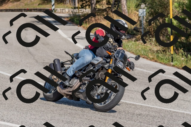 202509201400-DSC_3008_c4_