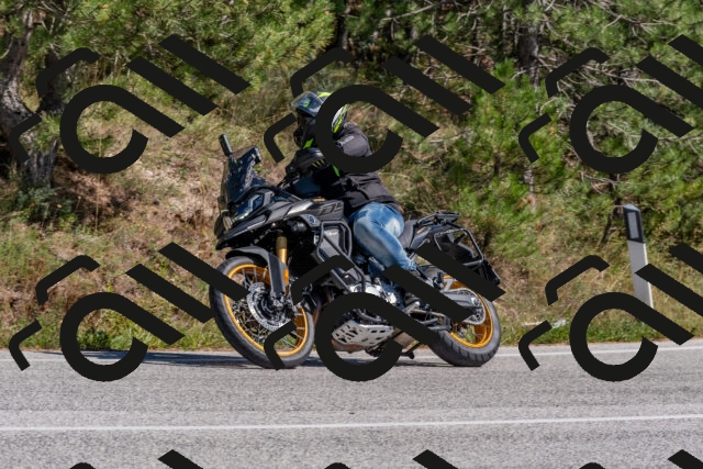 202509201402-DSC_3018_c4_