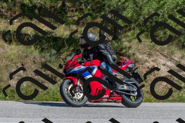 202509201402-DSC_3031_c4_