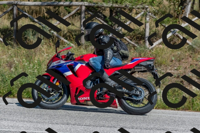 202509201402-DSC_3032_c4_