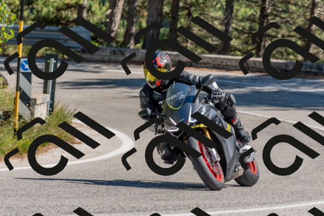 202509201405-DSC_3038_c4_