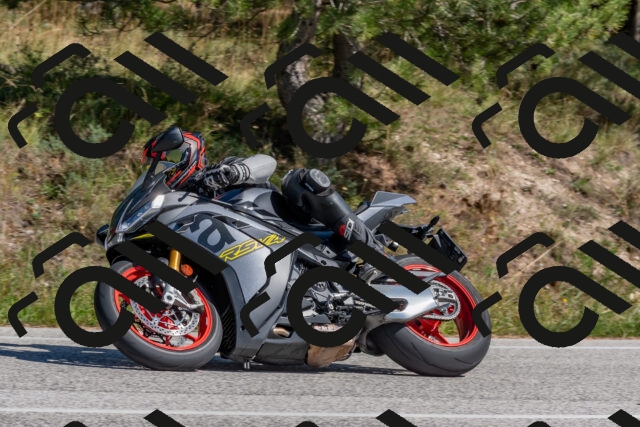 202509201405-DSC_3039_c4_