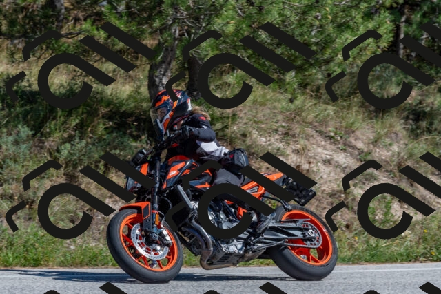 202509201405-DSC_3045_c4_