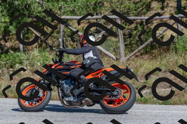 202509201405-DSC_3046_c4_