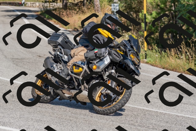 202509201406-DSC_3057_c4_