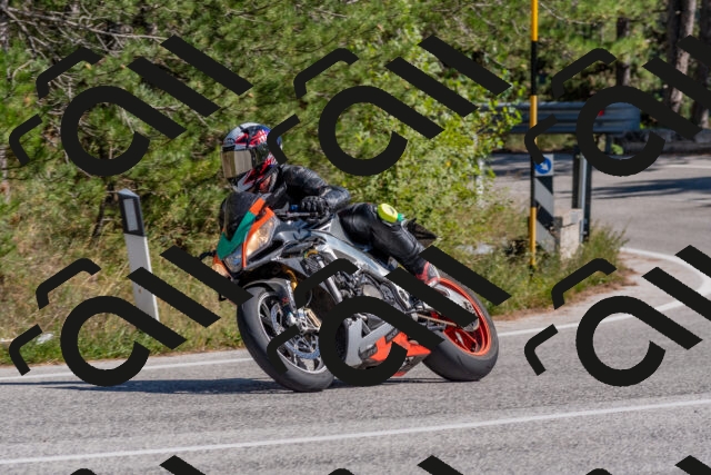 202509201406-DSC_3064_c4_