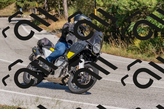 202509201406-DSC_3069_c4_