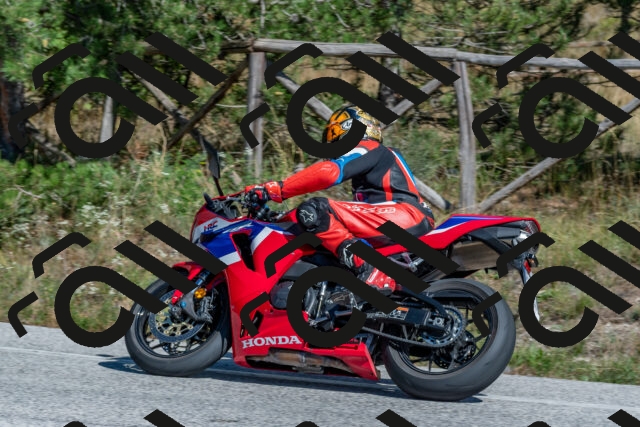 202509201408-DSC_3073_c4_