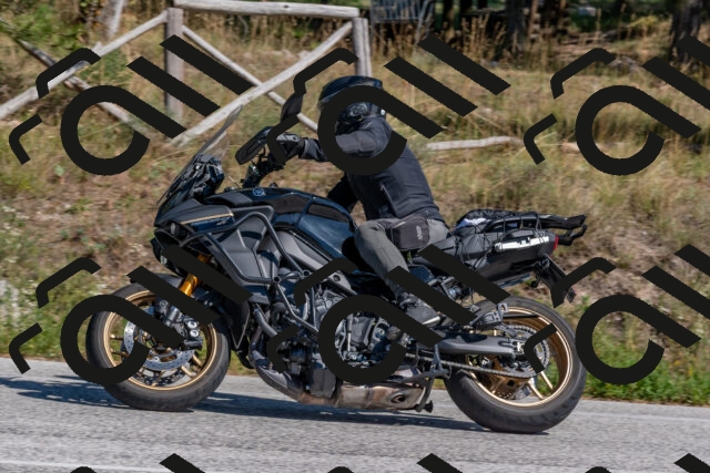 202509201408-DSC_3075_c4_