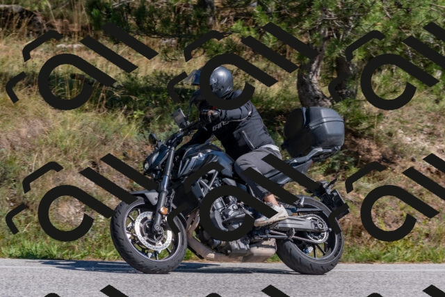 202509201409-DSC_3077_c4_