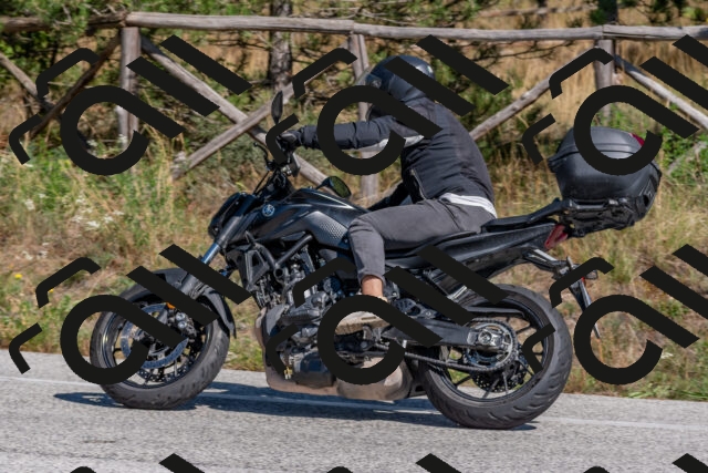 202509201409-DSC_3078_c4_