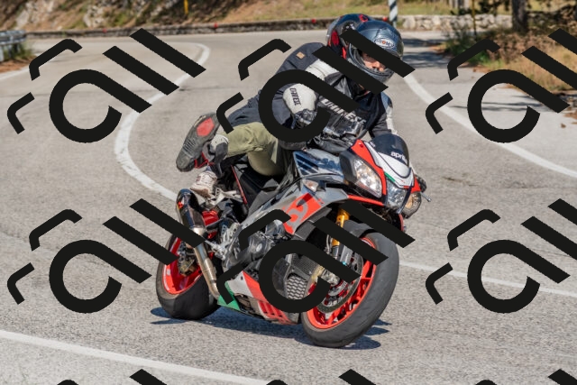 202509201409-DSC_3082_c4_