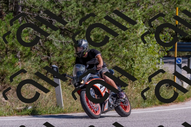 202509201411-DSC_3088_c4_