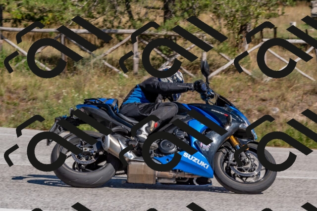 202509201415-DSC_3113_c4_