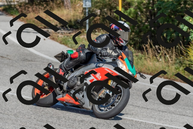 202509201429-DSC_3138_c4_