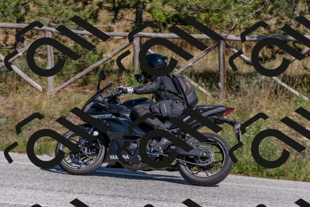 202509201430-DSC_3143_c4_