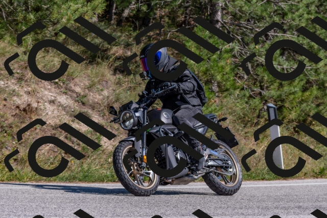 202509201430-DSC_3144_c4_