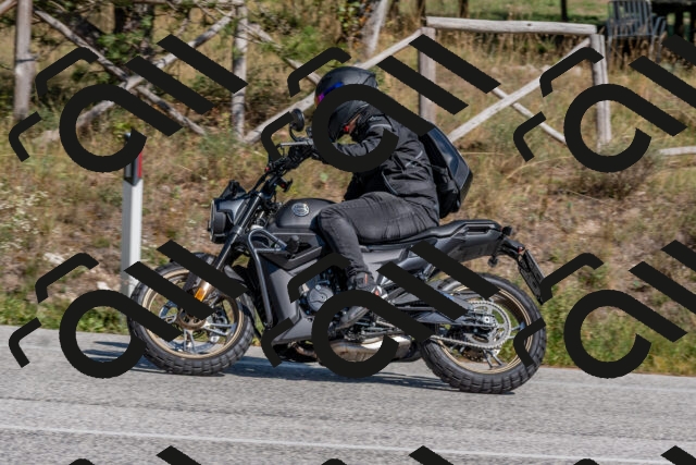 202509201430-DSC_3145_c4_